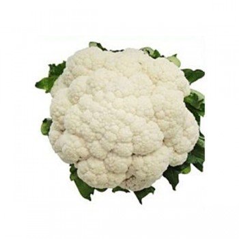 Ванза F1 (KS 35 F1) семена капусты цветной (Kitano Seeds)