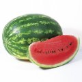 Найси F1 (KS 638 F1) семена арбуза раннего (Kitano Seeds)
