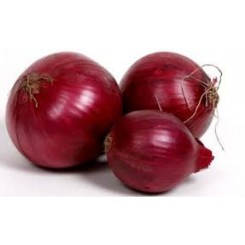 СВ 4593 F1 насіння цибулі ріпчастої червоної (Seminis)