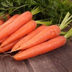 Красная Боярыня семян моркови (Satimex)