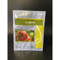 Мамако F1 насіння детермінантного томату (Syngenta)