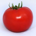 Хітомакс F1 насіння помідора індетермінантного (Kitano Seeds)