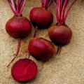 Гранат насіння буряка столового (Satimex)