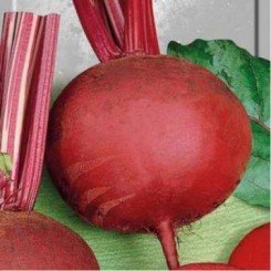 Детройт 2 семена свеклы столовой (SAIS)