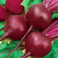 Красный шар семян свеклы столовой (Moravoseed)