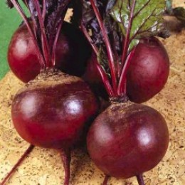 Детройт семян свеклы столовой (Rem seeds)