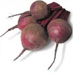 КС 20 F1 (KS 20 F1) семена свеклы столовой (Kitano Seeds)
