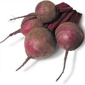 КС 20 F1 (KS 20 F1) семена свеклы столовой (Kitano Seeds)