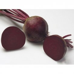 ЕС 3003 F1 (EZ 3003 F1) семена свеклы столовой (LibraSeeds)