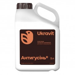 Інсектицид Антігусінь
