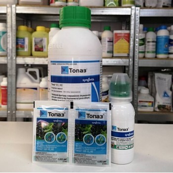 Фунгицид Топаз – Syngenta