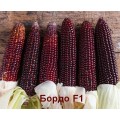 Бордо F1 семена кукурузы суперсладкой Sh2  фиолетово-красными зёрнами (Мнагор)