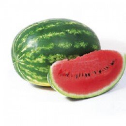 КС 24 F1 (KS 24 F1) насіння кавуна раннього (Kitano Seeds)