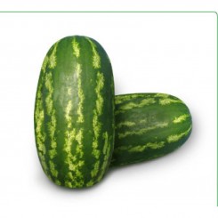 КС 3 F1 (KS 3 F1) насіння кавуна середньопізнього (Kitano Seeds)