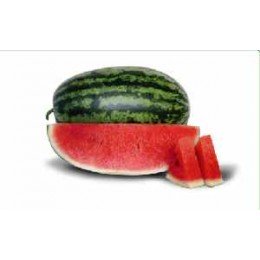 КС 8777 F1 (KS 8777 F1) семена арбуза раннего (Kitano Seeds)