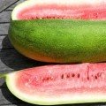 Чарльстон Грей насіння кавуна середнього (Euroseed)
