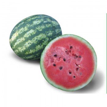 КС 8322 F1 (KS 8322 F1) семена арбуза раннего (Kitano Seeds)