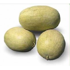 КС 9944 F1 (KS 9944 F1) насіння кавуна середнього (Kitano Seeds)