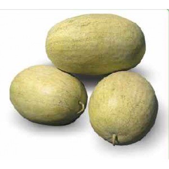 КС 9944 F1 (KS 9944 F1) семена арбуза среднего (Kitano Seeds)
