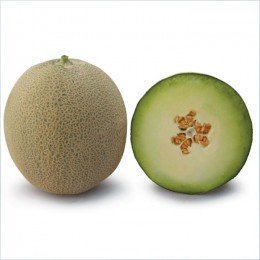 КС 7044 F1 насіння дині (Kitano Seeds)