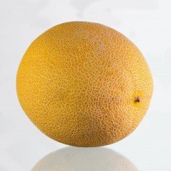 Ванда F1 насіння дині (Kitano Seeds)