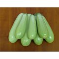 Немо F1 насіння кабачка (Lark Seeds)