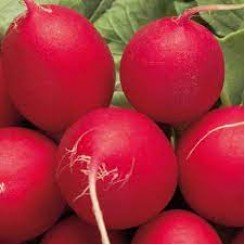 Алекс семян редис (Satimex)