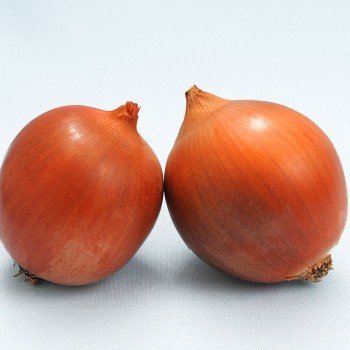 Вещь F1 семян лука репчатого желтого (Lark Seeds)
