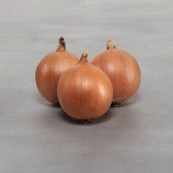 Пантеон F1 семян лука репчатого желтого (Agri Saaten)