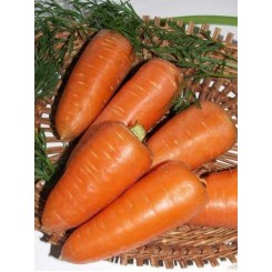 Роял Шансон насіння моркови (Seminis)