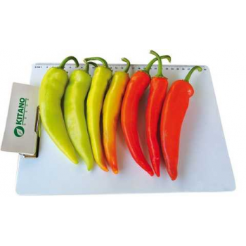Кампай F1 насіння гіркого перцю (Kitano Seeds)