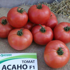 Асано F1 (КС 38 F1) семена помидора индетерминантного (Kitano Seeds)