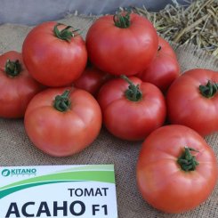 Асано F1 (КС 38 F1) насіння помідора індетермінантного (Kitano Seeds)