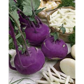 Азур семена капусты кольраби (Semo)