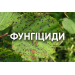 Фунгициды