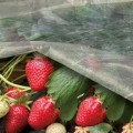 Агроволокно біле (23г/м2) (Agreen)