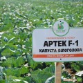 Артек F1 семена капусты белокочанной (Lucky Seed)