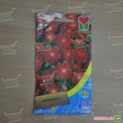 Астра низкая красная (Red) семян (Moravoseed)