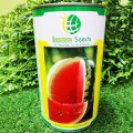 АУ Продюсер семян арбуза среднего (Innova Seeds)