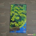 Бархатцы раскидистые низкие желтые (yellow) семена (Moravoseed)