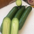 Базис F1 семена огурца партенокарпического (Lark Seeds)