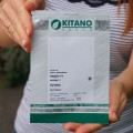 Династия Red Blotch семян фиалки (Kitano Seeds)