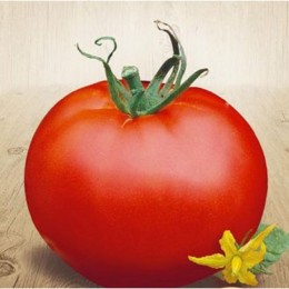Джина семена томата детерминантного (ТМ Вкусный)