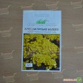 Горное золото семян алиссума (Hem Zaden)
