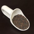 Капуста кольрабы фиолетовые семена микрозеленые (Agrocity)