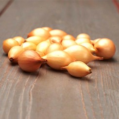 Контадо (10-21 мм) сіянка цибулі (TOP Onion Sets)