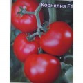 Корнелия F1 семена помидора индетерминантного (Элитный ряд)