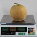 КС 810 F1 семена дыни (Kitano Seeds)
