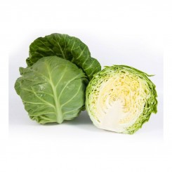 КС 1431 F1 насіння капусти білокачанної (Kitano Seeds)