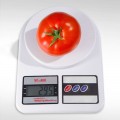 Анита (KS 829) F1 семена помидора детерминантного (Kitano Seeds)